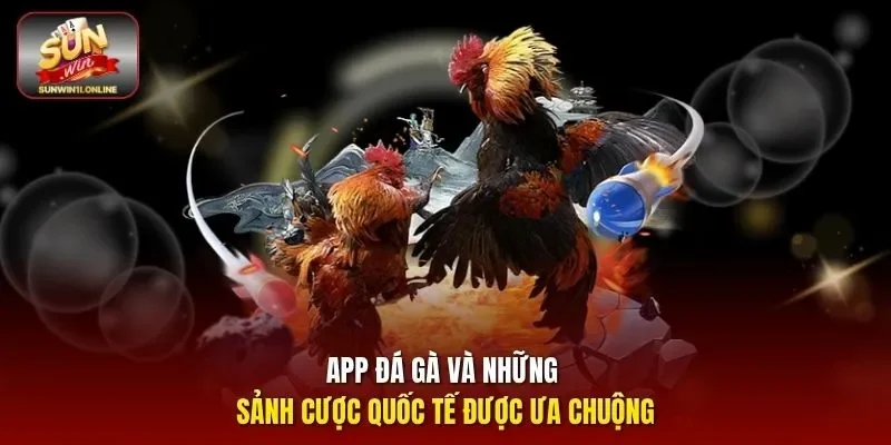 App Đá Gà Sunwin - Hướng Dẫn Tải Và Trải Nghiệm Cá Cược 11 Sunwin App đá gà và những sảnh cược quốc tế được ưa chuộng