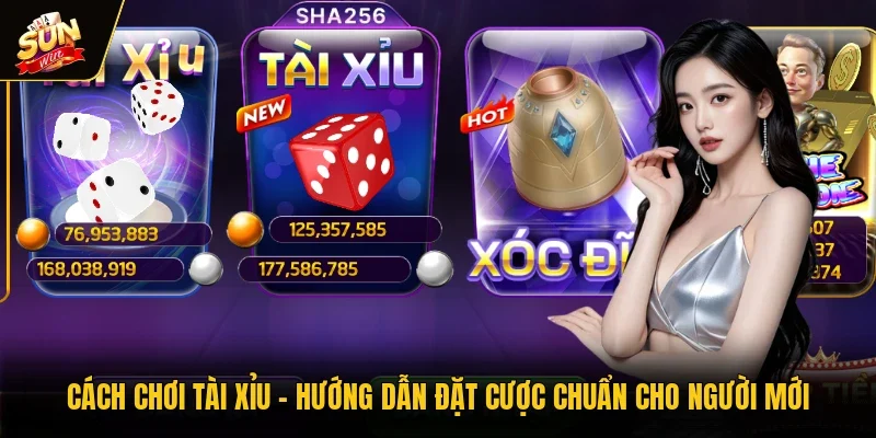 Cách Chơi Tài Xỉu - Hướng Dẫn Đặt Cược Chuẩn Cho Người Mới